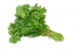 Fresh Coriander Leaves (Bunch)